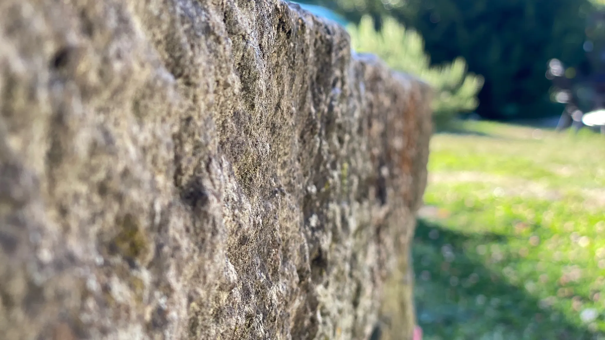 La pierre d’un mur du Moulin d’en Bas, au bord du jardin
